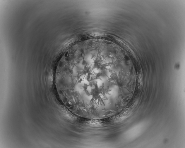 X0000099430668200805161111