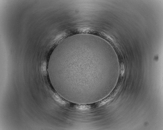 X0000099430670200805161111