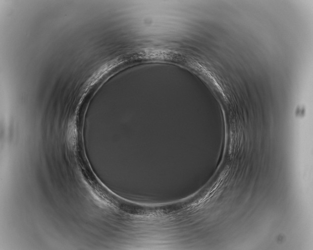 X0000099430674200805161111