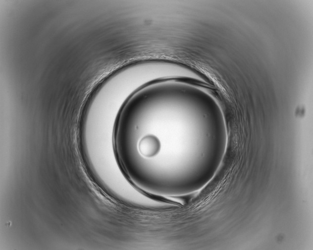 X0000099430677200805161111