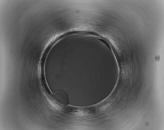 X0000099430678200805161111