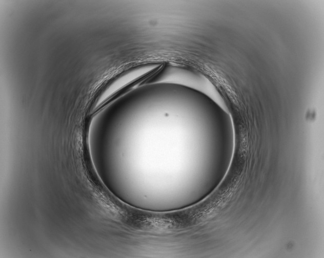 X0000099430681200805161111