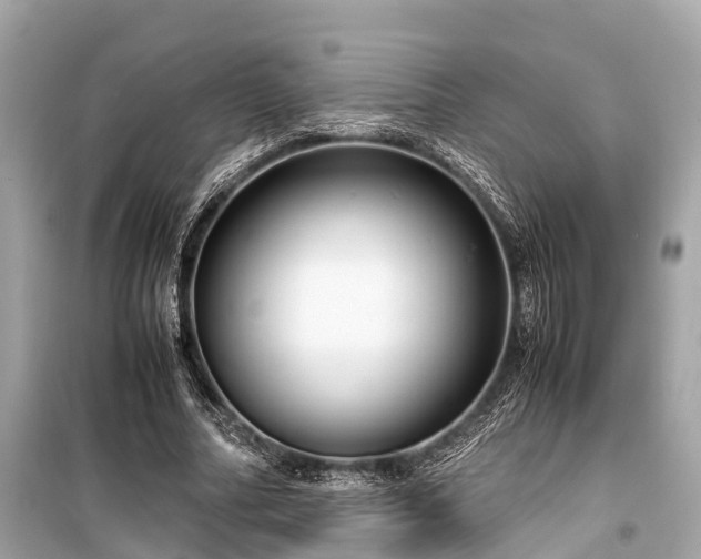 X0000099430682200805161111