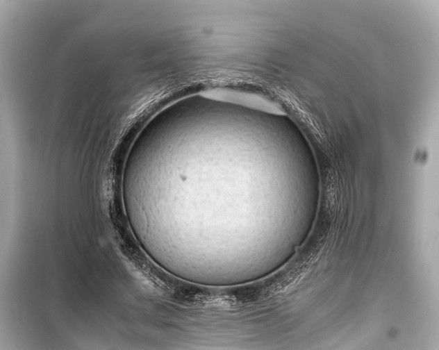 X0000099430683200805161111