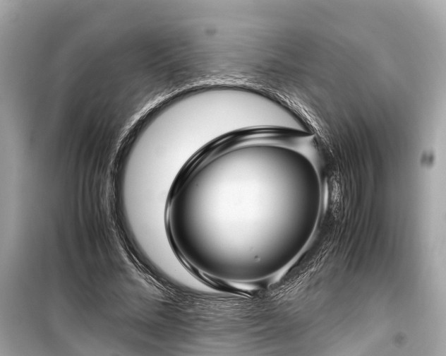X0000099430684200805161111