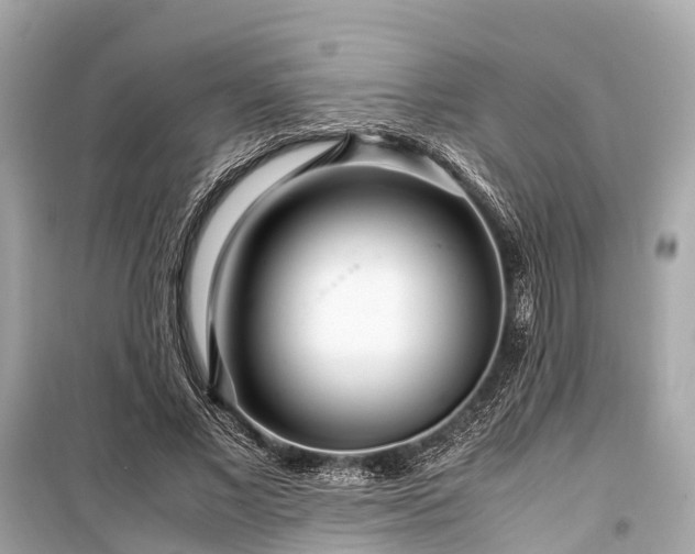 X0000099430685200805161111