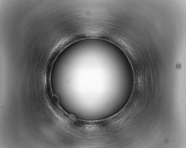 X0000099430686200805161111