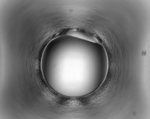 X0000099430689200805161111
