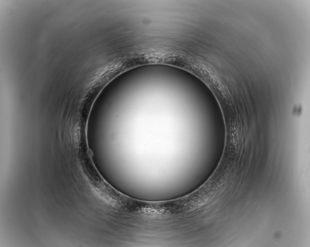 X0000099430690200805161110