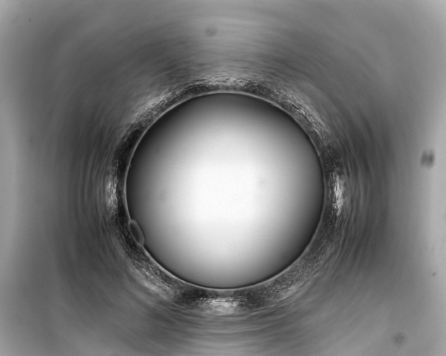 X0000099430692200805161110