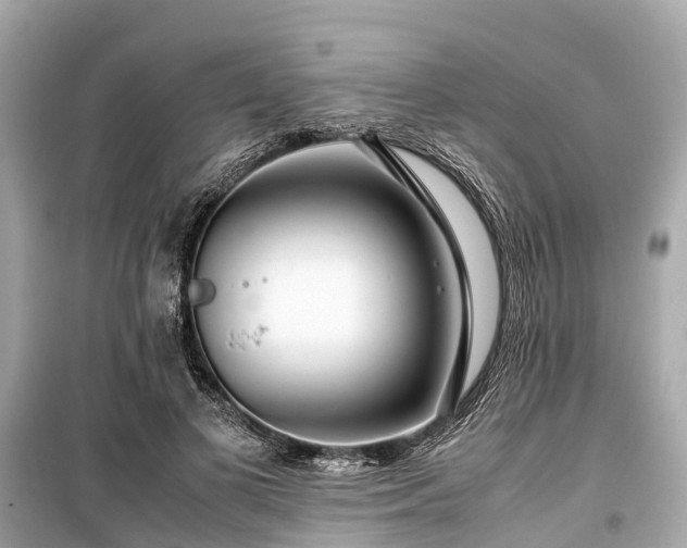 X0000099430693200805161110