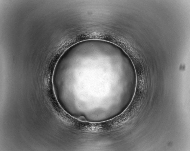 X0000099430695200805161110