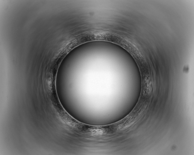 X0000099430698200805161110