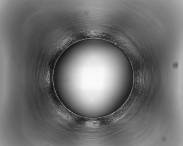 X0000099430700200805161110