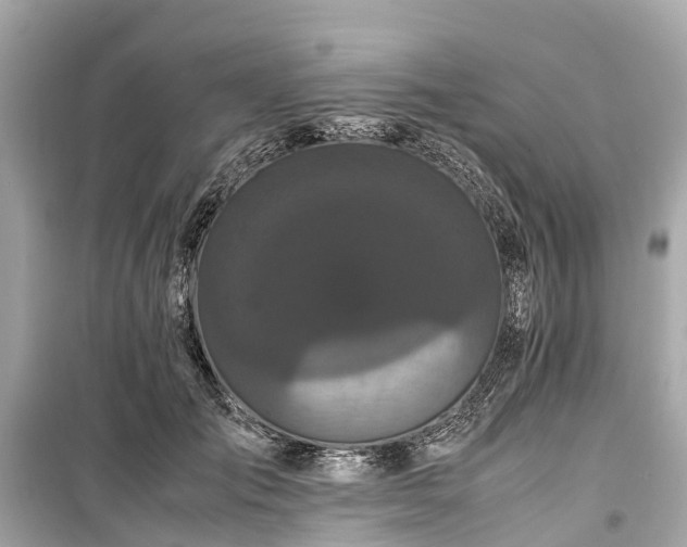 X0000099430701200805161110
