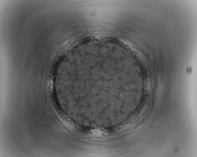 X0000099430703200805161110