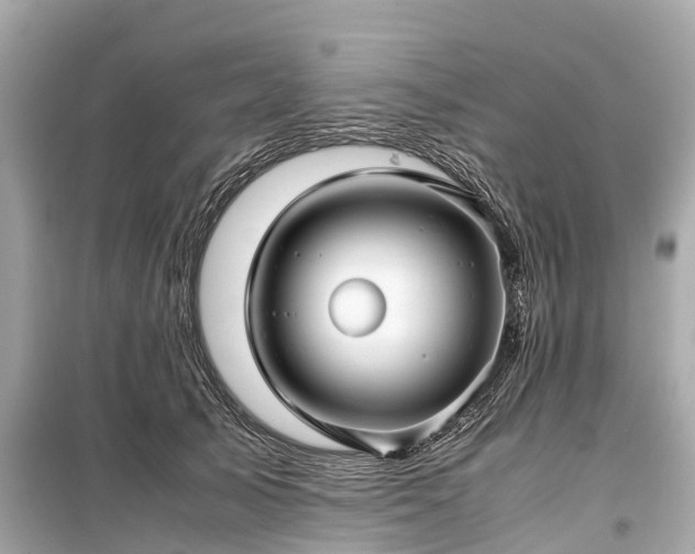 X0000099430705200805161110