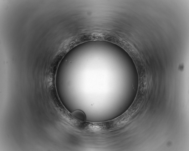 X0000099430706200805161110