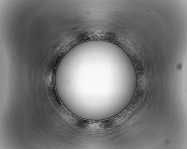 X0000099430709200805161110