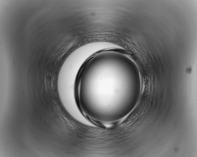 X0000099430712200805161110
