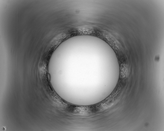 X0000099430713200805161110