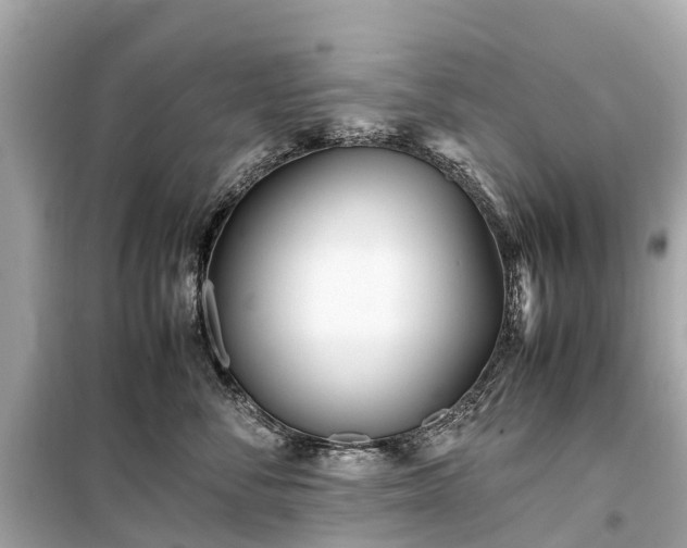 X0000099430716200805161110