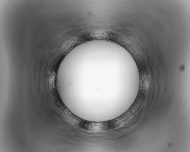 X0000099430717200805161110