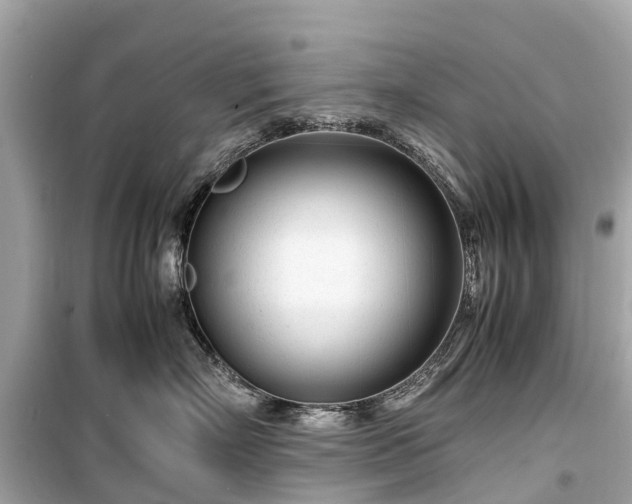 X0000099430718200805161110
