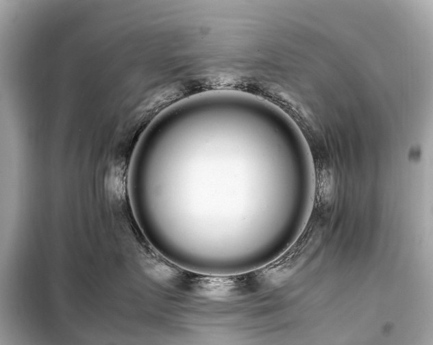 X0000099430719200805161110