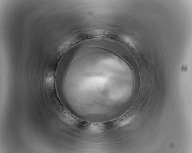 X0000099430720200805161110