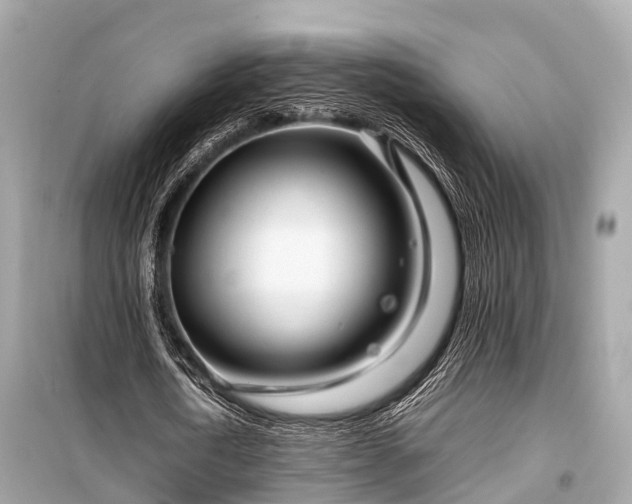 X0000099430722200805161109