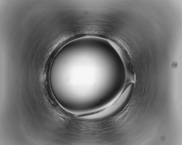 X0000099430723200805161109