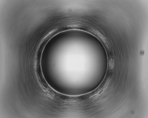 X0000099430724200805161109