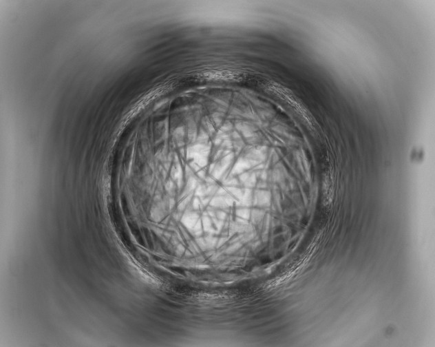 X0000099430725200805161109