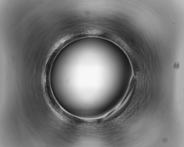 X0000099430726200805161109