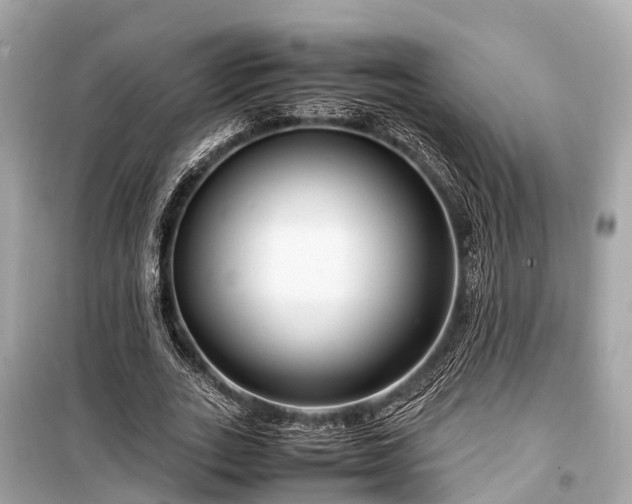 X0000099430727200805161109