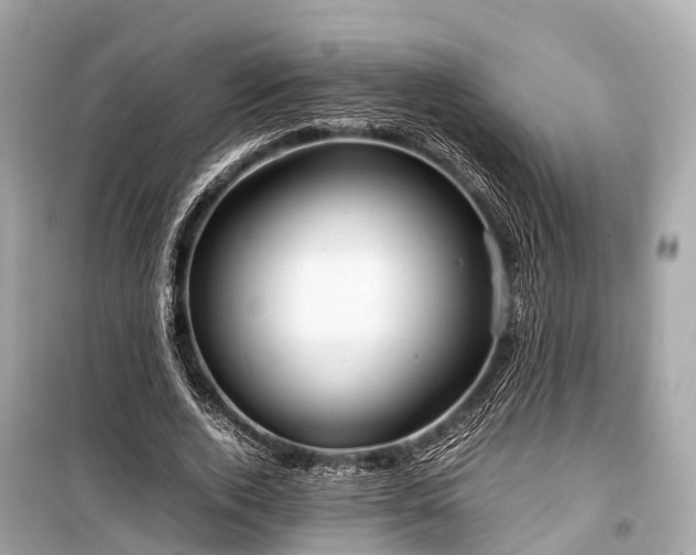X0000099430728200805161109