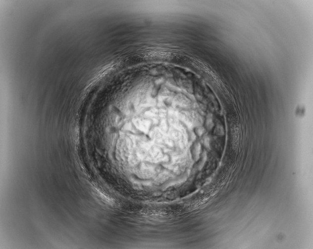 X0000099430729200805161109