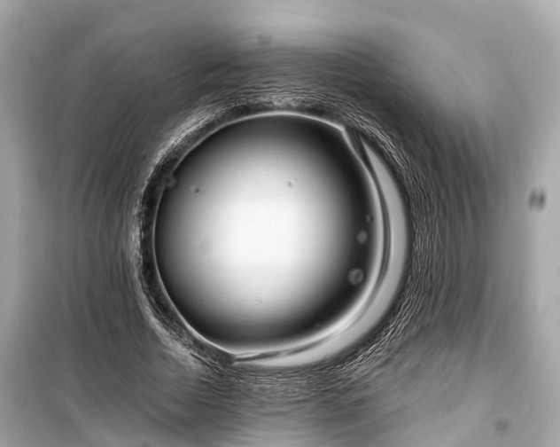 X0000099430730200805161109