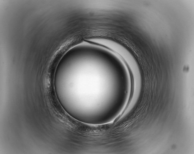 X0000099430731200805161109