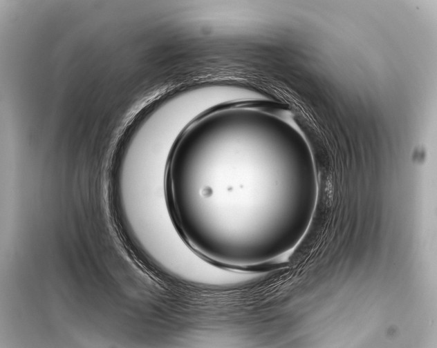 X0000099430732200805161109