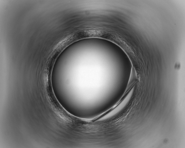 X0000099430733200805161109