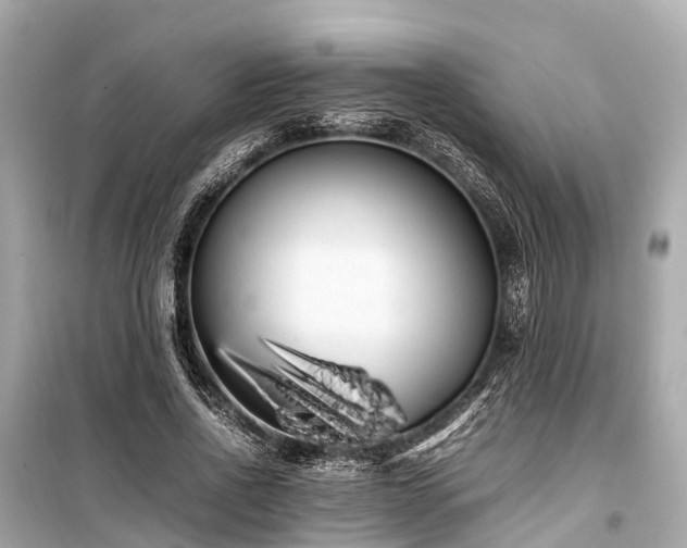 X0000099430734200805161109