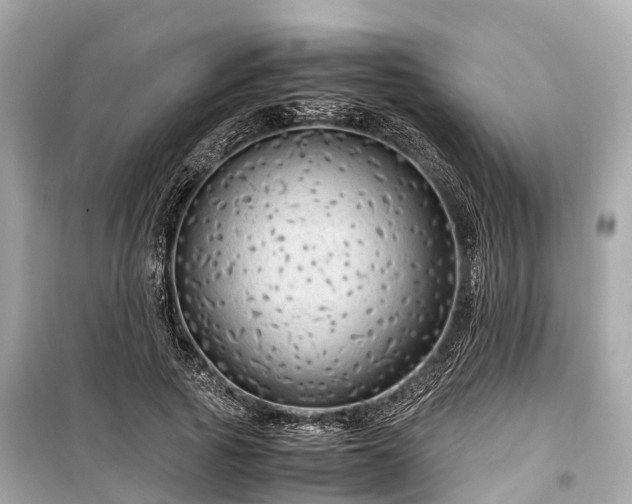 X0000099430737200805161109