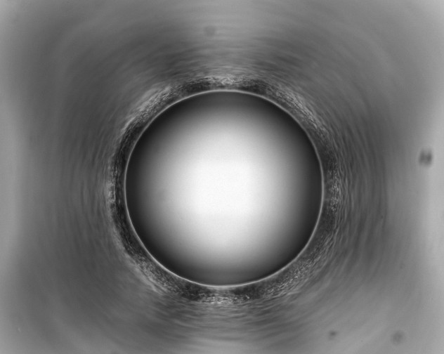 X0000099430738200805161109