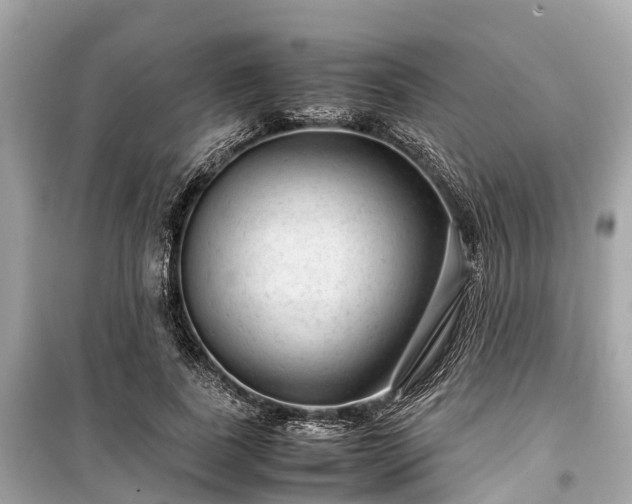 X0000099430739200805161109