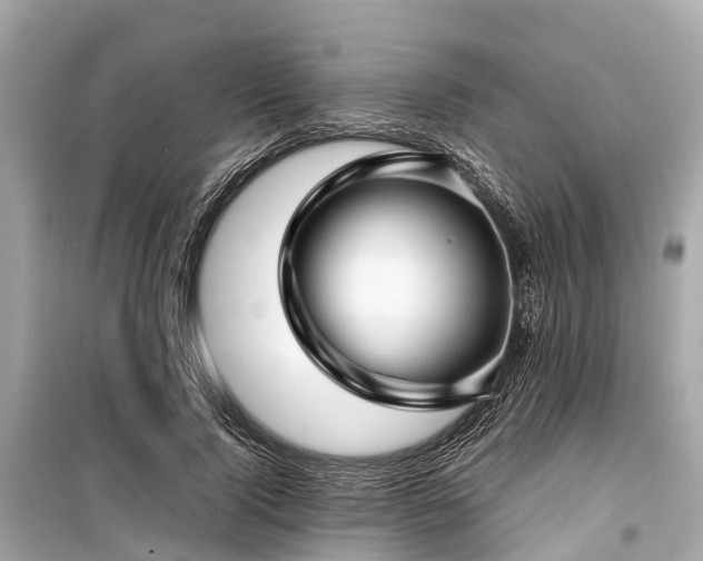 X0000099430740200805161109