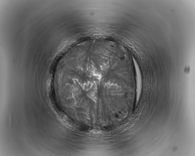 X0000099430742200805161109