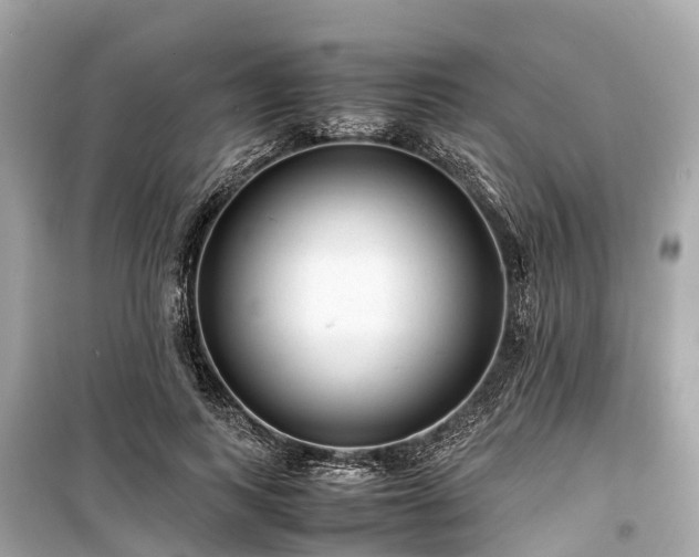 X0000099430743200805161109