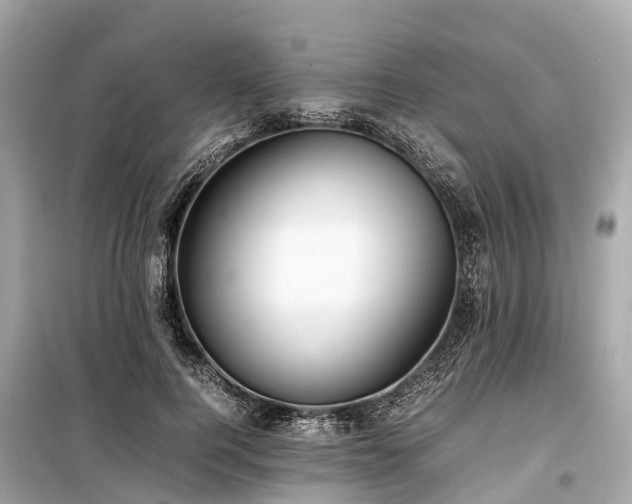 X0000099430744200805161110